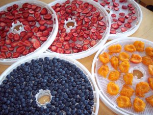 Dehydrated Fruits