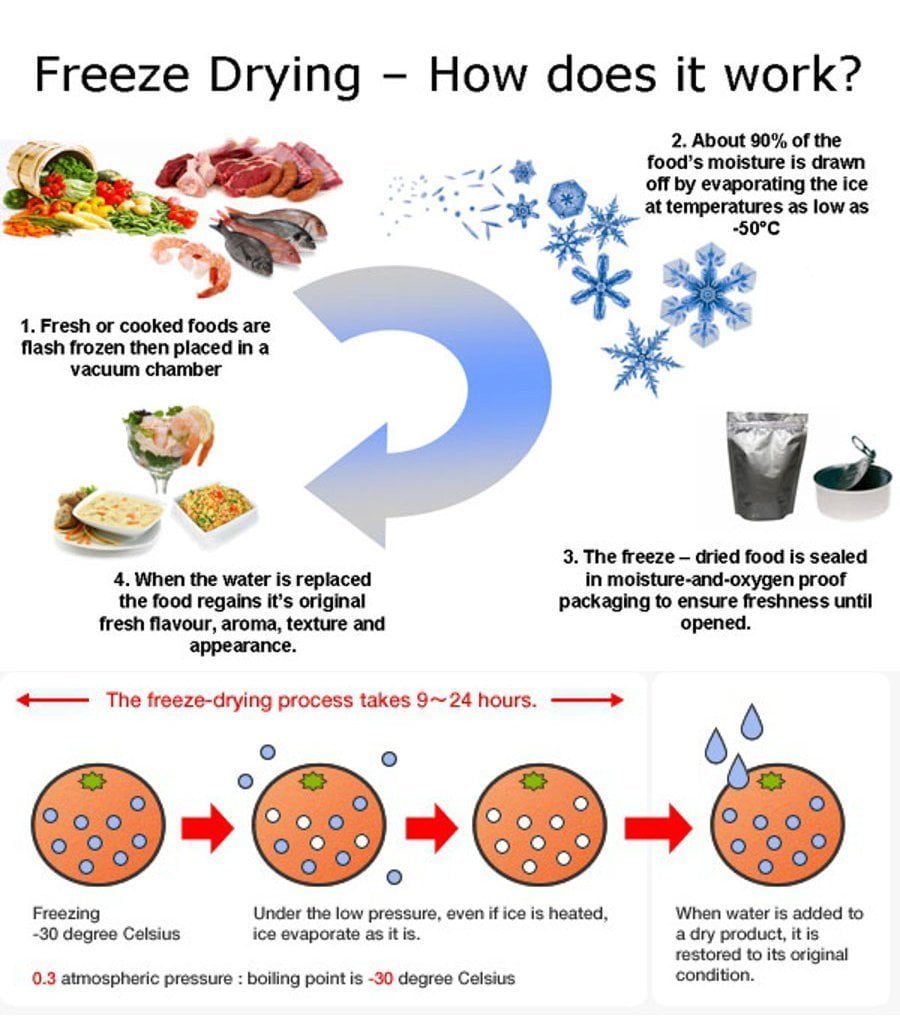 Which Is Better: Freeze-Dried Or Dehydrated Food?