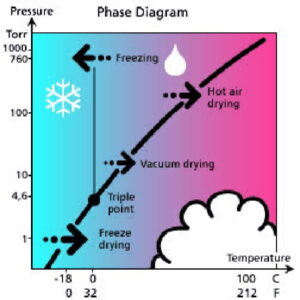 Triple Point of Water Phase Diagram