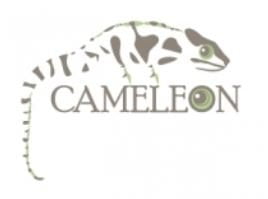 Cameleon Concealed Carry Bags