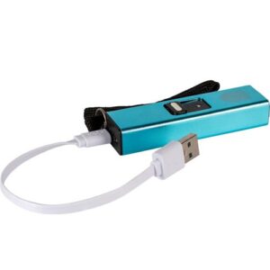 Slider Stun Gun Blue w/ USB Cable
